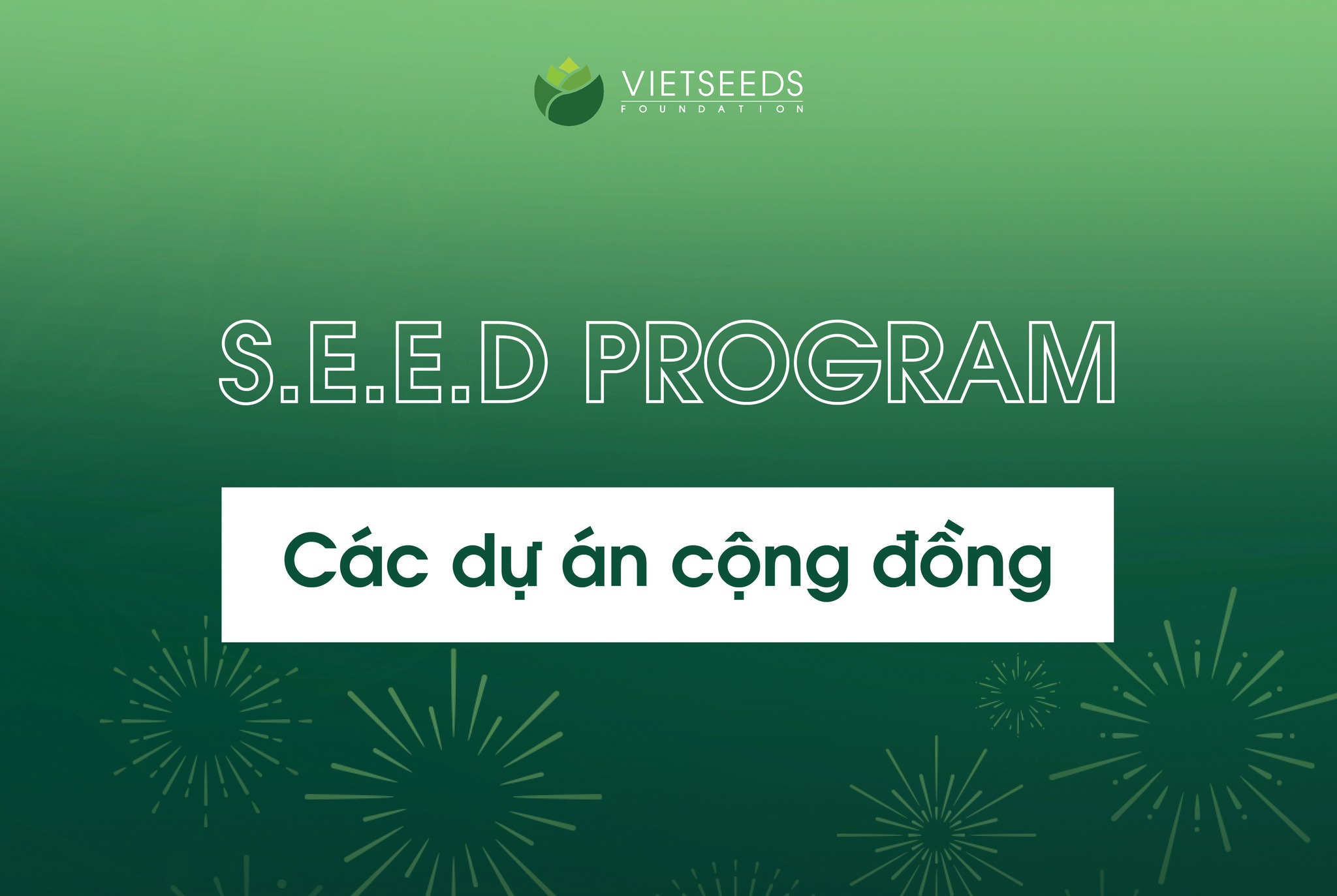 SPREADING KINDNESS WITH THE COMMUNITY PROJECT OF VIETSEEDS STUDENTS
