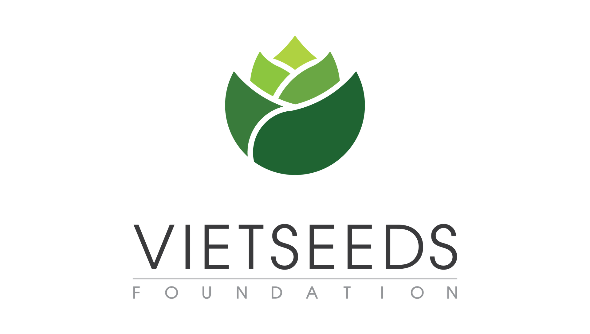 VietSeeds Mentoring Program 2020-2021: Kết thúc giai đoạn 2 - Gặp gỡ trao đổi